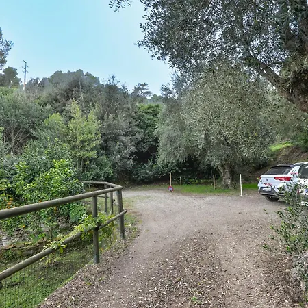 Le Palme By Interhome