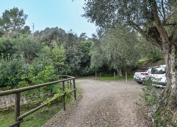 Le Palme By Interhome