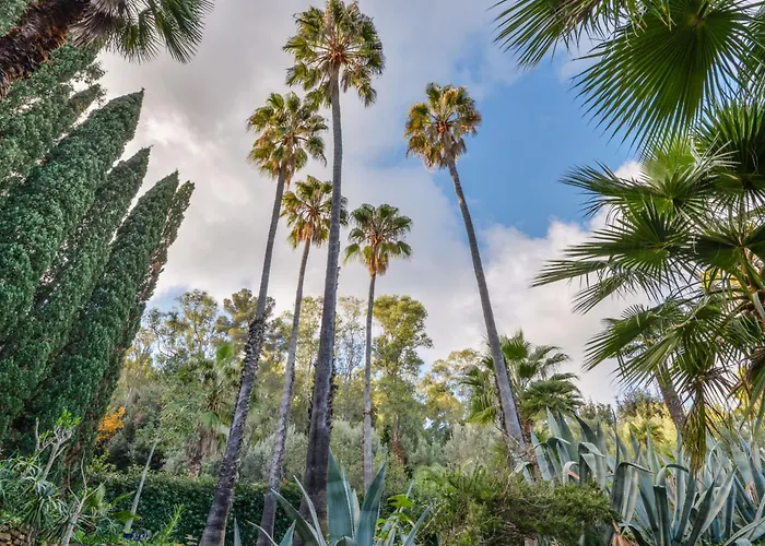 Le Palme By Interhome Apartment *