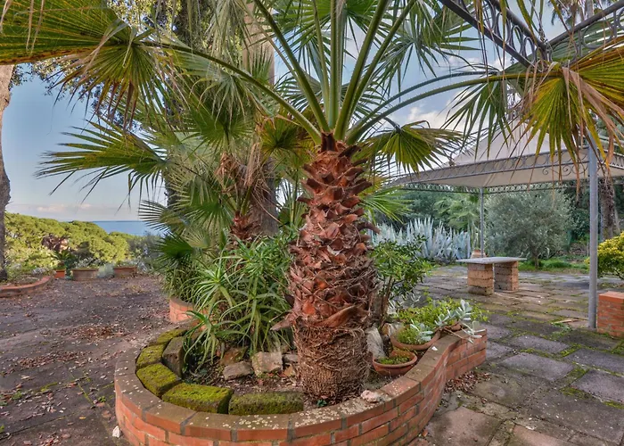 Le Palme By Interhome Apartment *