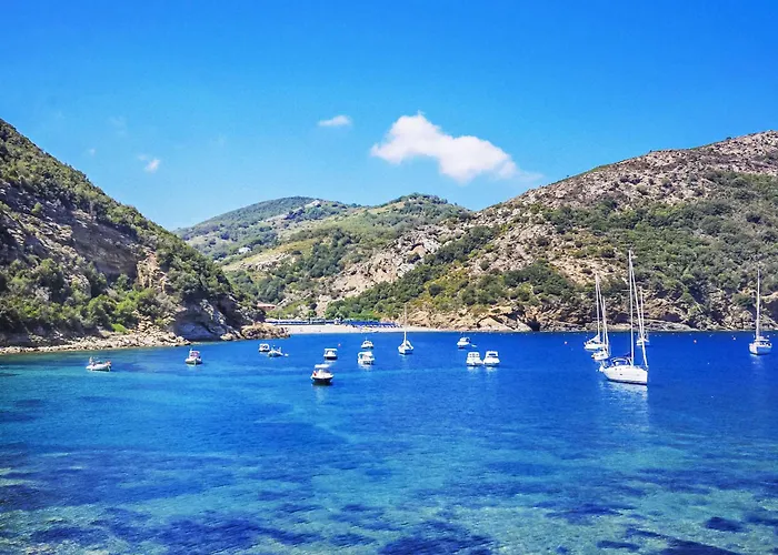 Apartment Le Palme By Interhome