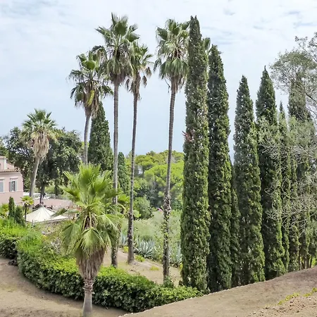Le Palme By Interhome Διαμέρισμα Rio Marina